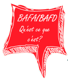 Le BAFA BAFD Qu est-ce-que c est